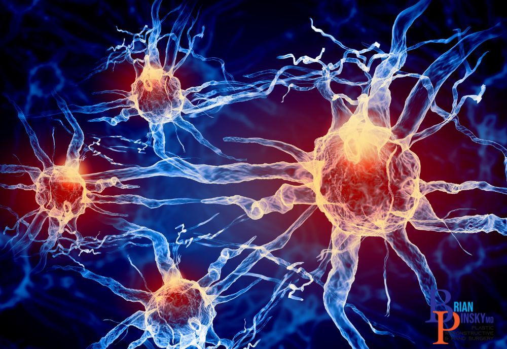 Illustration of four neurons with blue dendrites and orange cell bodies, connected by axons, set against a dark blue and red background, evoking the complexity of Long Island's advanced cosmetic procedures.